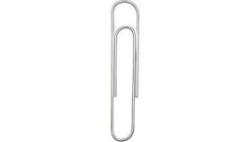 Paperclips Groot 50mm