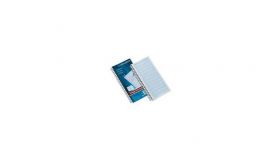 Things To Do Today