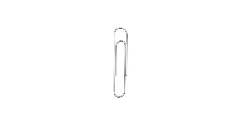 Paperclips Groot 50mm