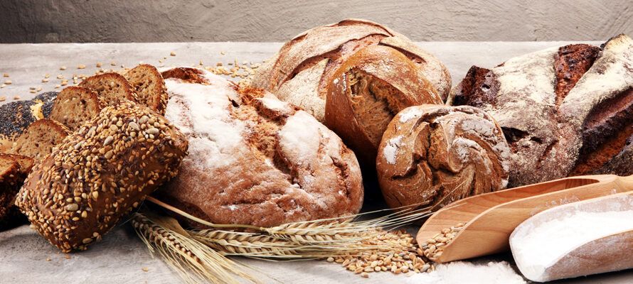 Brood